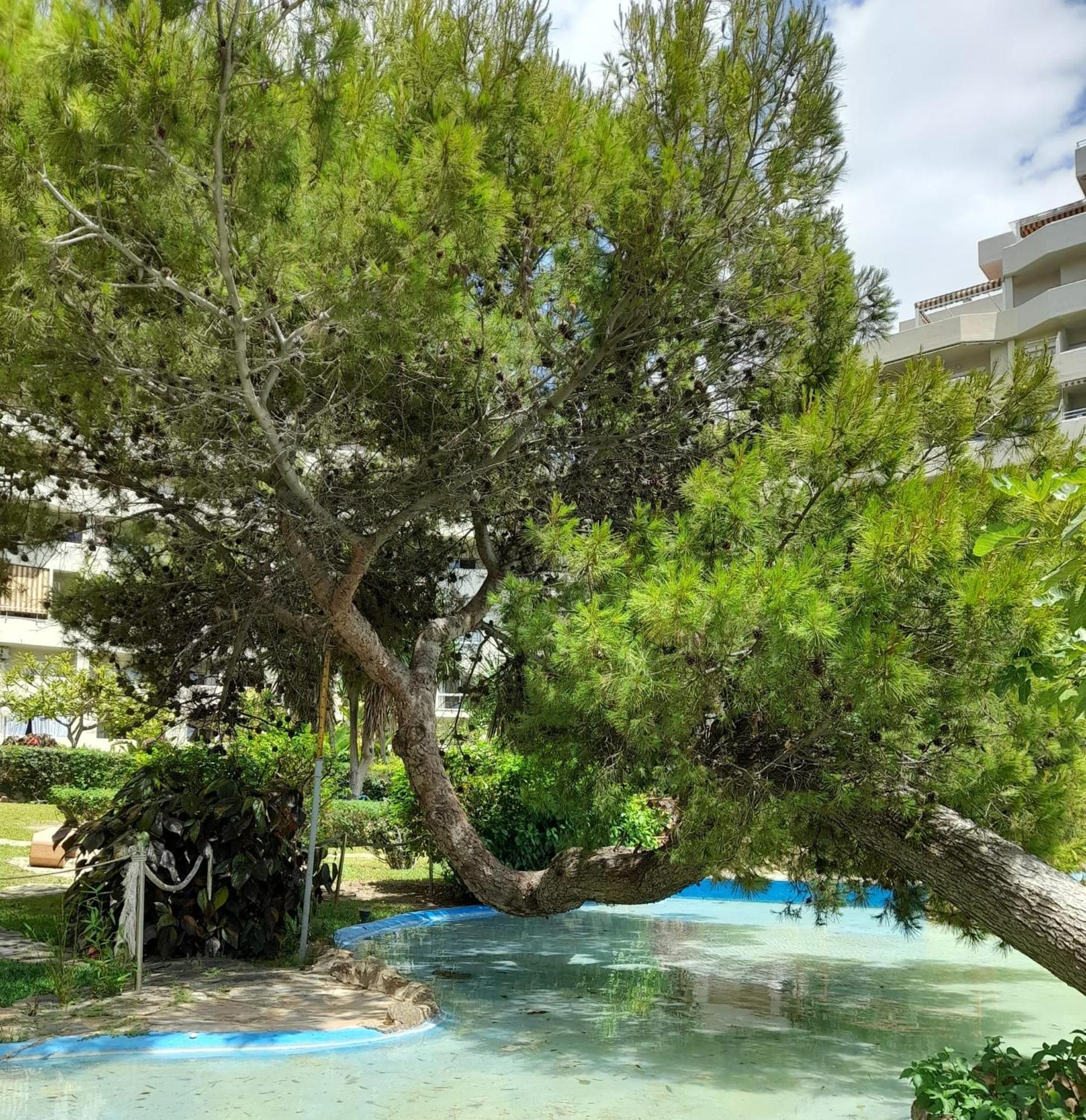 Benalbeach R&R Suite Benalmádena Extérieur photo